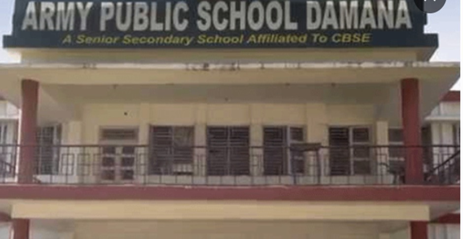 APS Damana
